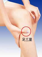 足三里